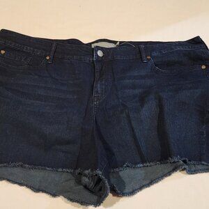 **Torrid Dark Wash Denim Shorts – Raw Hem**